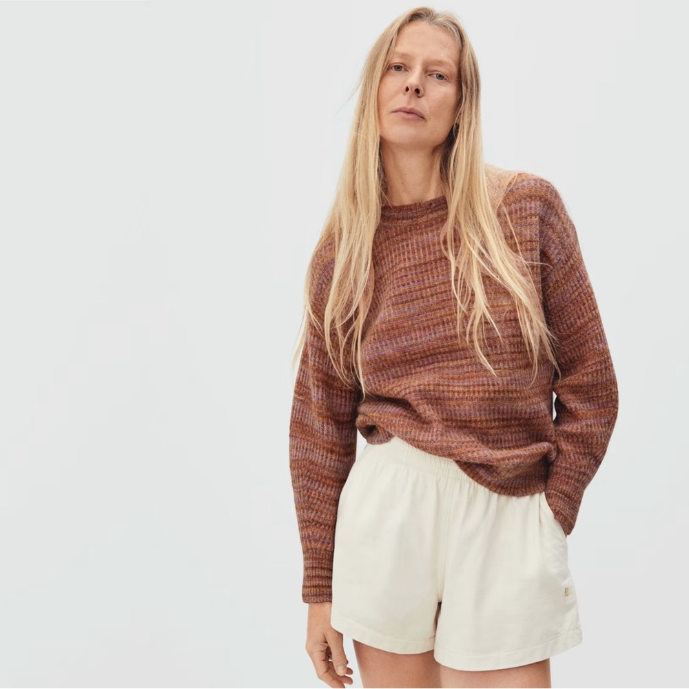 Everlane The Alpaca Crew Sweater in Multi color knit Size Small